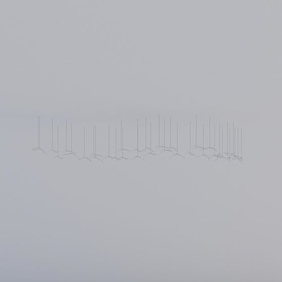 Flock of Seagulls 3D model for Creative Projects