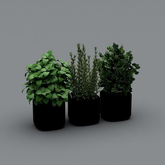 Three green potted plants in black pots on grey background
