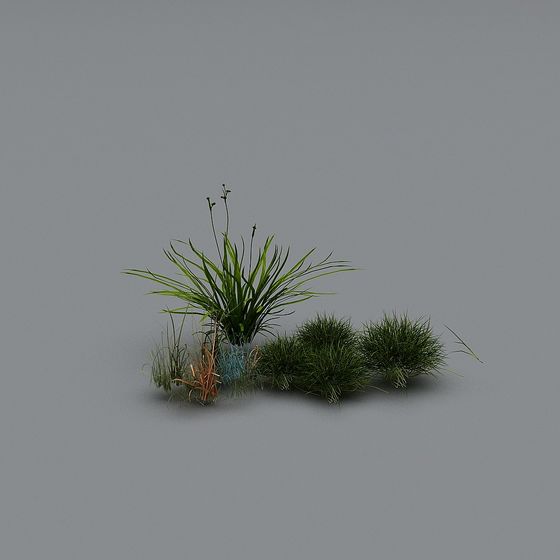 Natural Grass Growth 3D model for Design and Gaming
