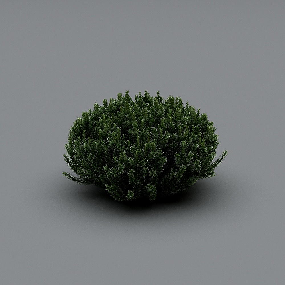 New Chinese courtyard fake mountain-13-bush