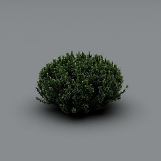 Low Poly Pine Tree Clump 3D model