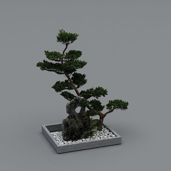 Serene Bonsai Tree 3D model for Tranquil Spaces