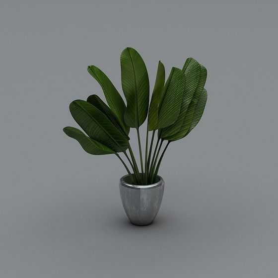 Urban Oasis Indoor Plant 3D Model