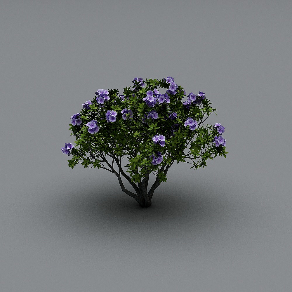 Modern tree-Camellia c