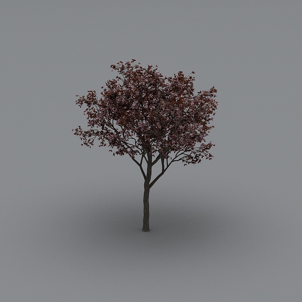 Vibrant Low-Poly 3D Tree Model