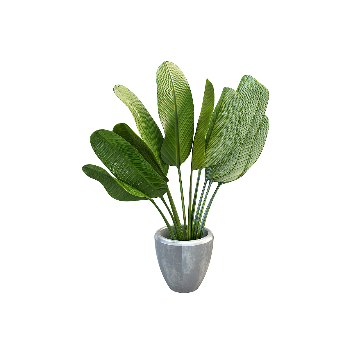 Urban Oasis Indoor Plant 3D Model