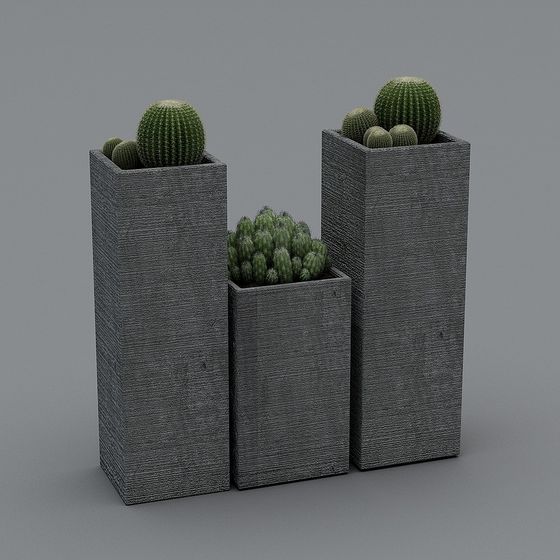 Modern Concrete Cactus Planter 3D model