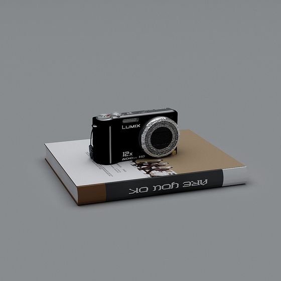 Lumix Camera 3D model
