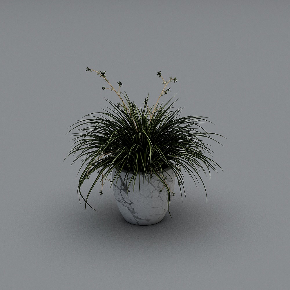 Tienda de ropa para hombres moderna -2- Adornos decorativos-2