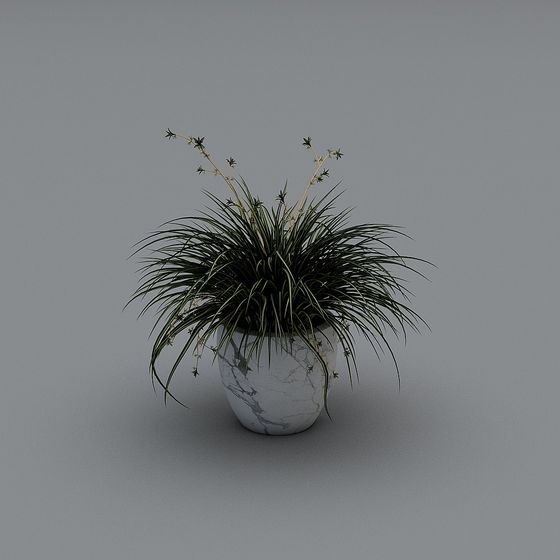 Tienda de ropa para hombres moderna -2- Adornos decorativos-2