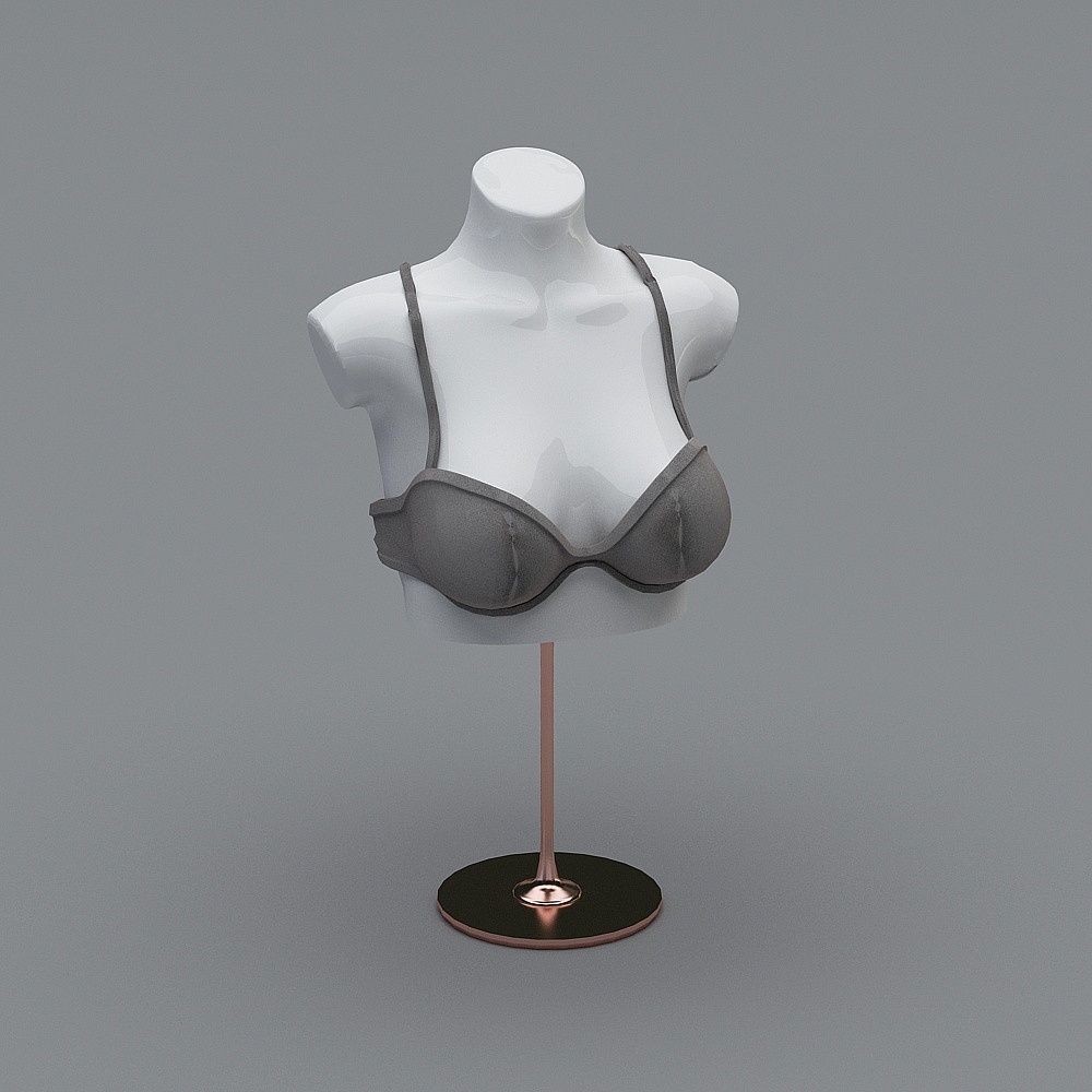 Modern lingerie store - commodity model