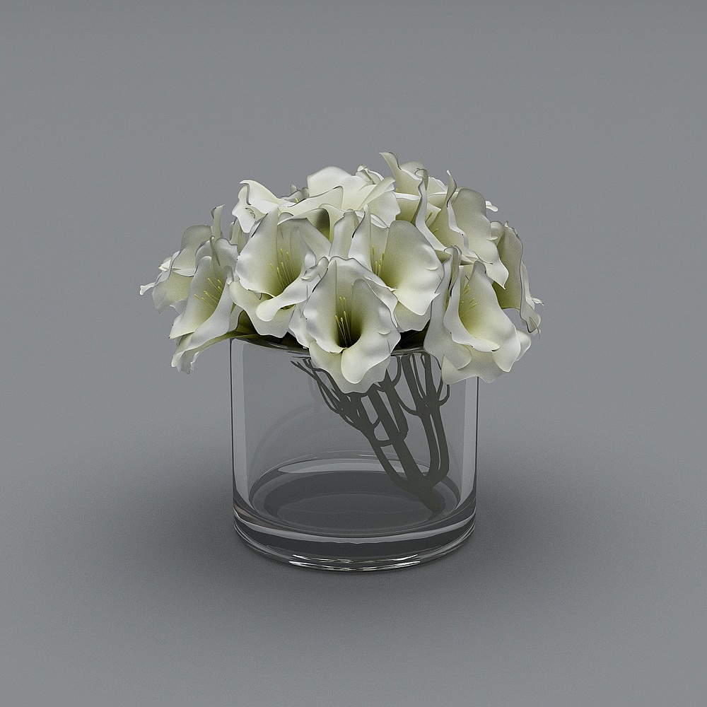 Magasin de Chaussures pour Femmes Moderne - Ornements Décoratifs