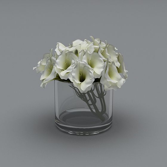 Magasin de Chaussures pour Femmes Moderne - Ornements Décoratifs