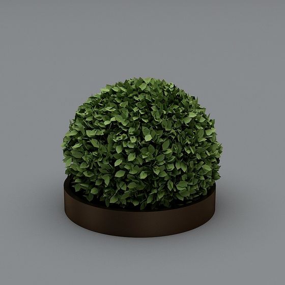Domed Green Plant 3D model for Designers