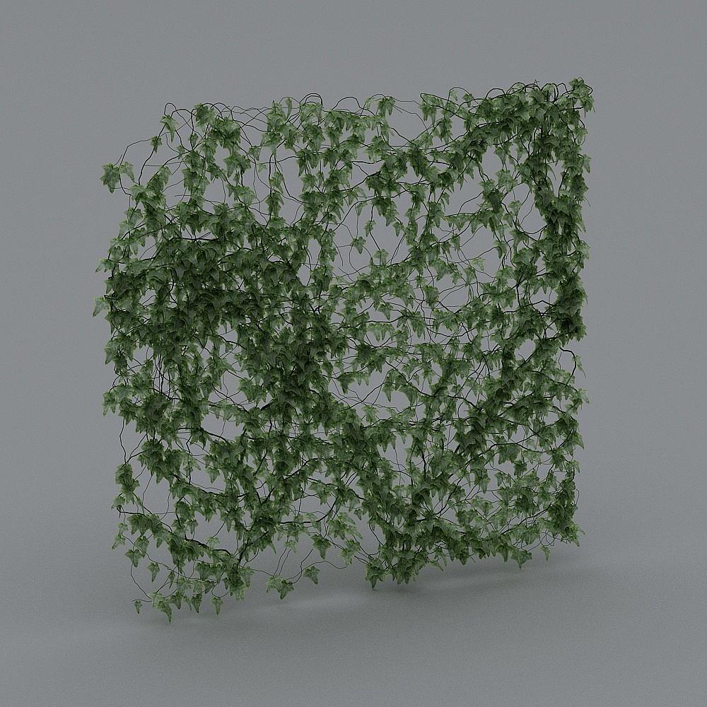 Vine Wall 3D model - Nature Meets Art