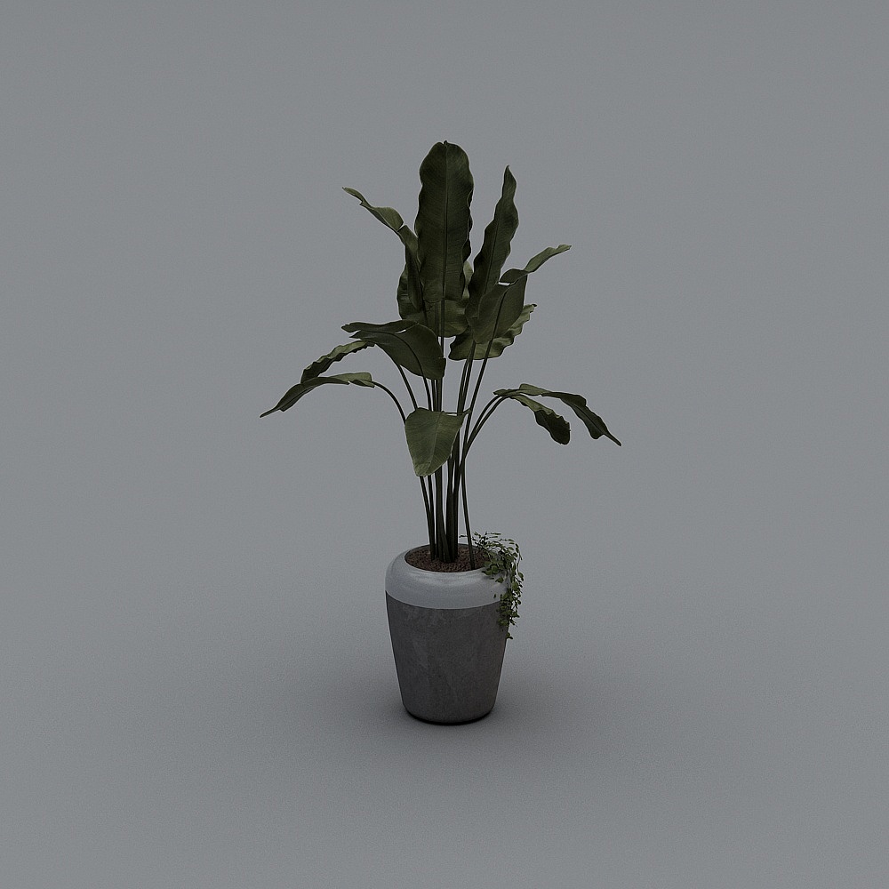 зеленые растения