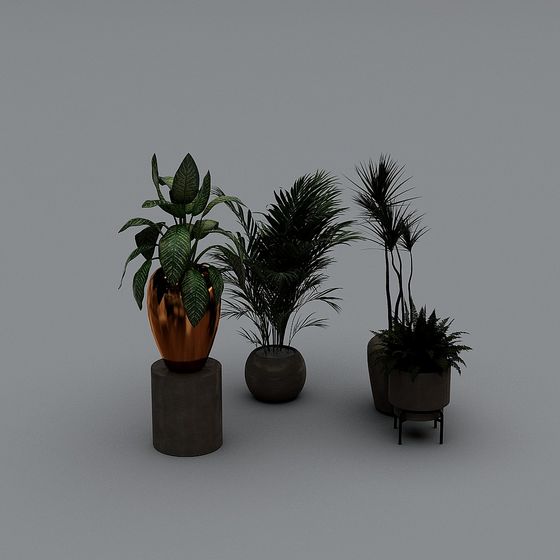 зеленые растения