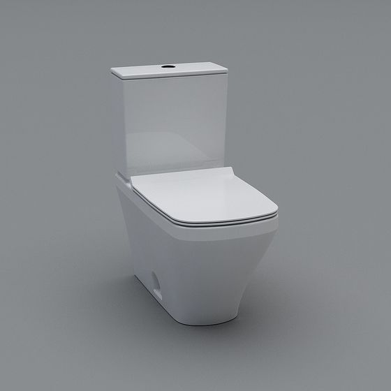 Urban Toilet 3D model for Modern Designs