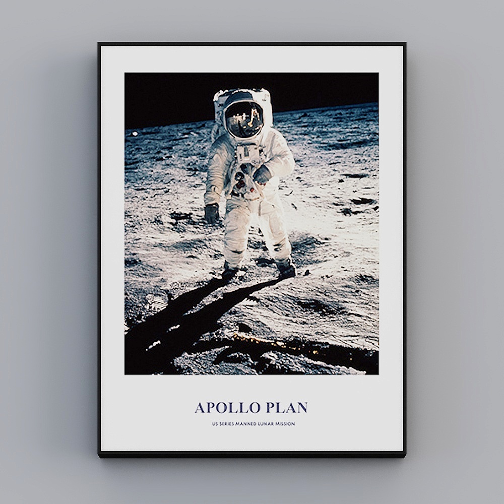 Roshan - Modern minimalist wind - Living room decoration painting - moon landing dream A