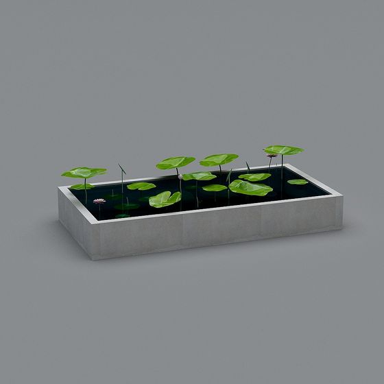 Lush Aquatic Plant Pond 3D model