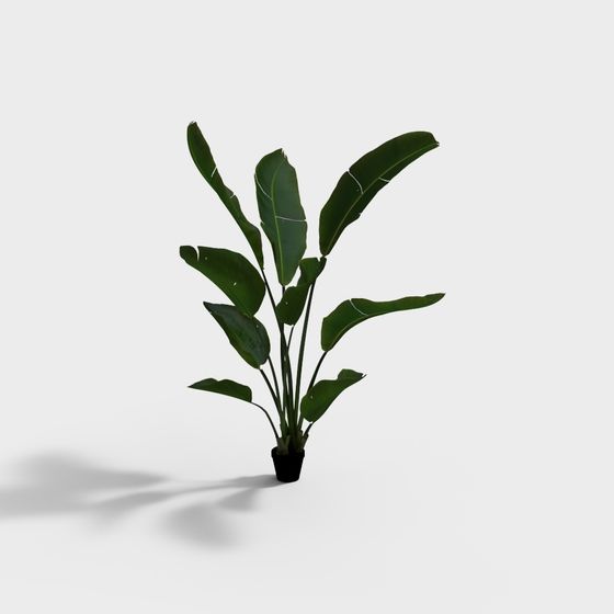 Tropical Plant 3D model for Designers and Developers