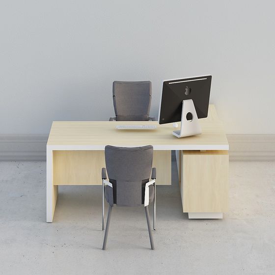 Modern Minimalist Double Desk 3D model