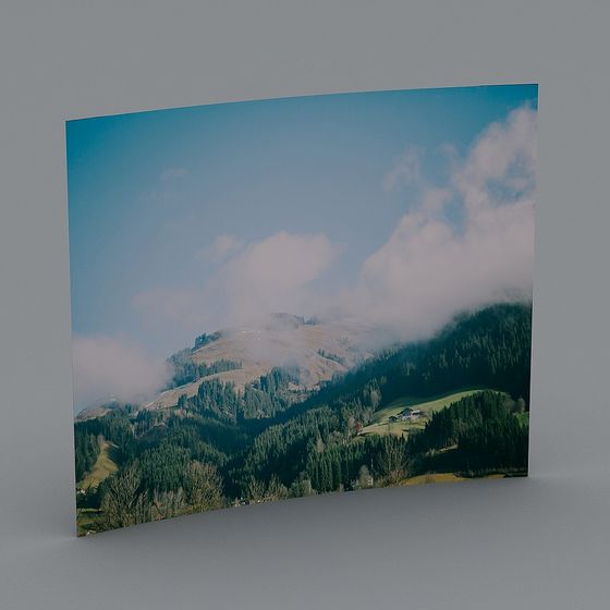 Modèle d'Image Environnementale