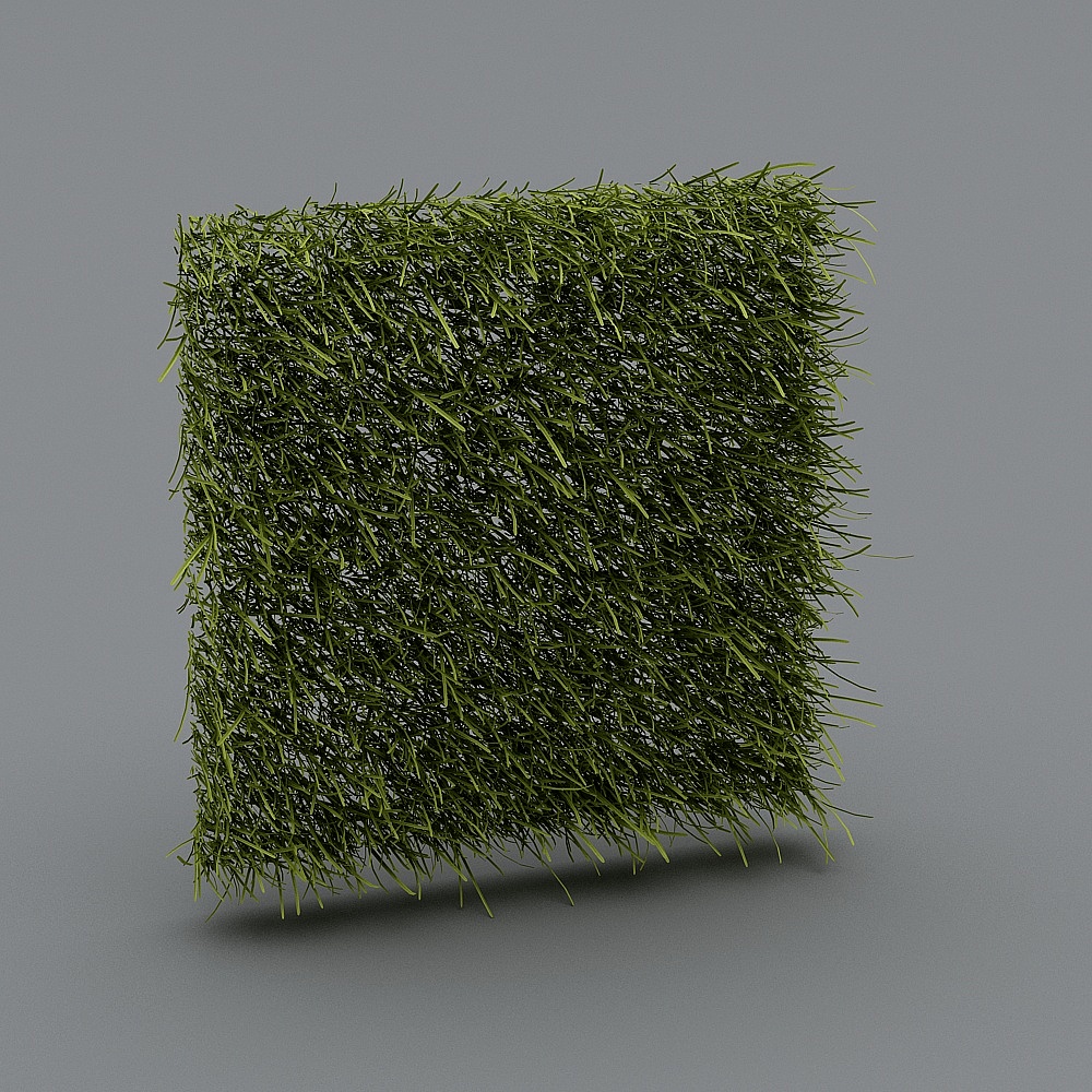 Wall Grass 2