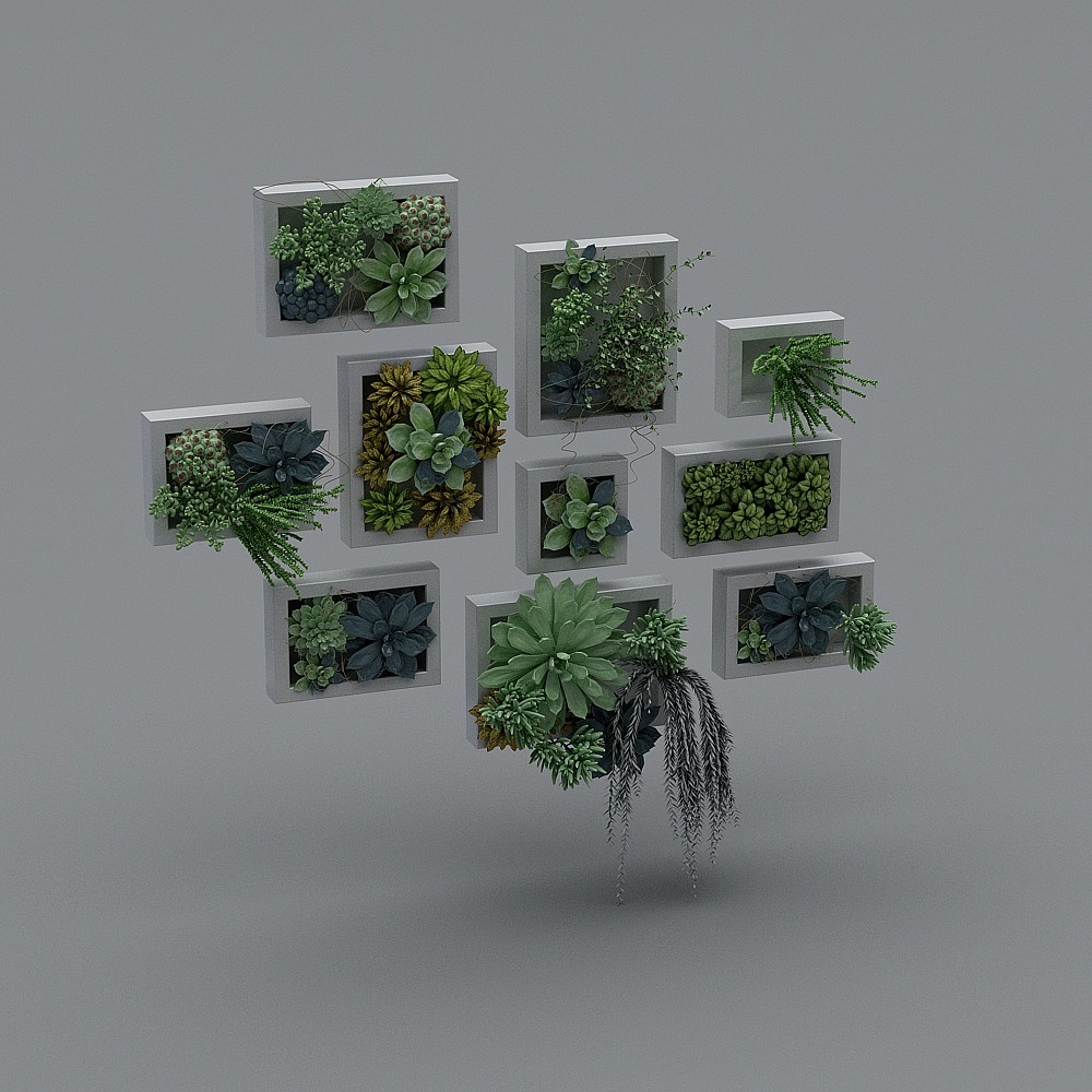 Green Plant Wall