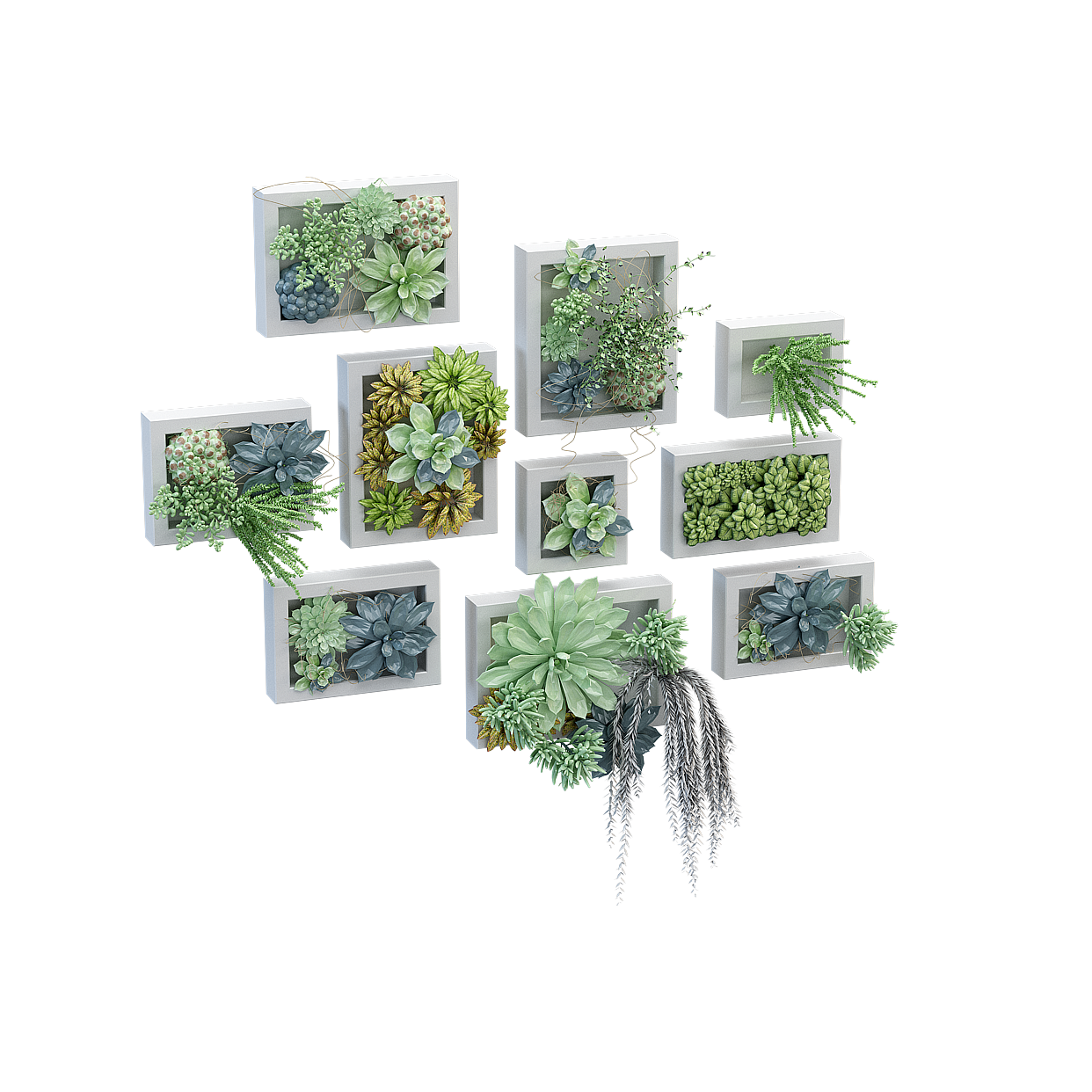 Wall Hanging Garden 3D Model – Vibrant Succulents Low-Poly