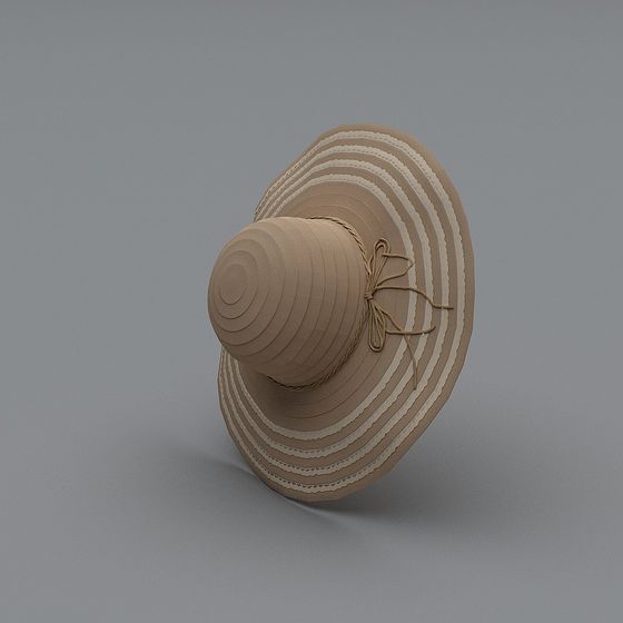 Elegant Beach Hat 3D Model