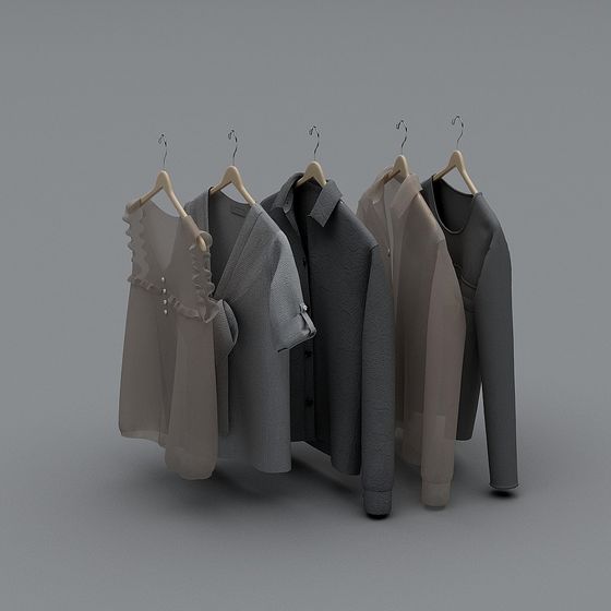 Stylish Fashion Clothing Hanger 3D model