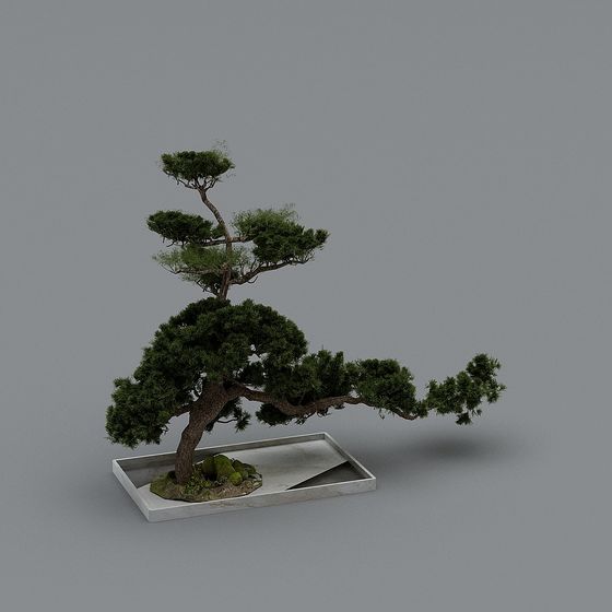 Zen Bonsai 3D Model for Creative Design