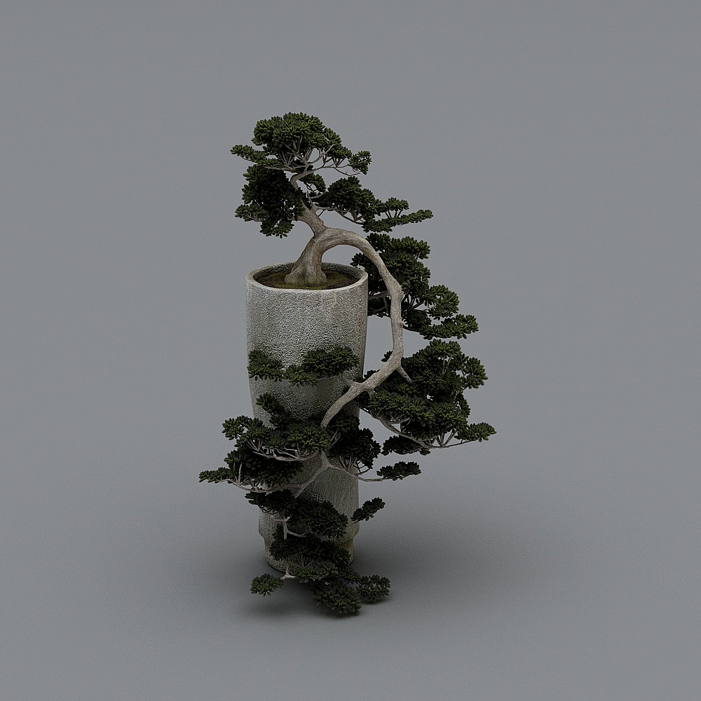 Mini Oasis Low Poly Bonsai Tree 3D model