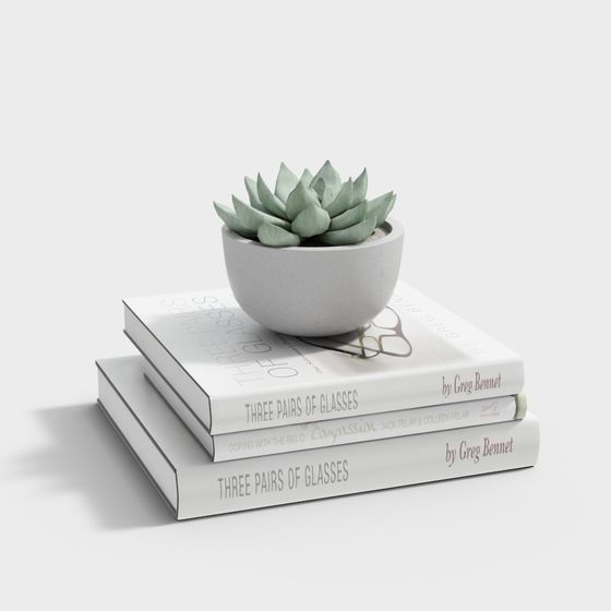 Green Plant on Bookshelf 3D model