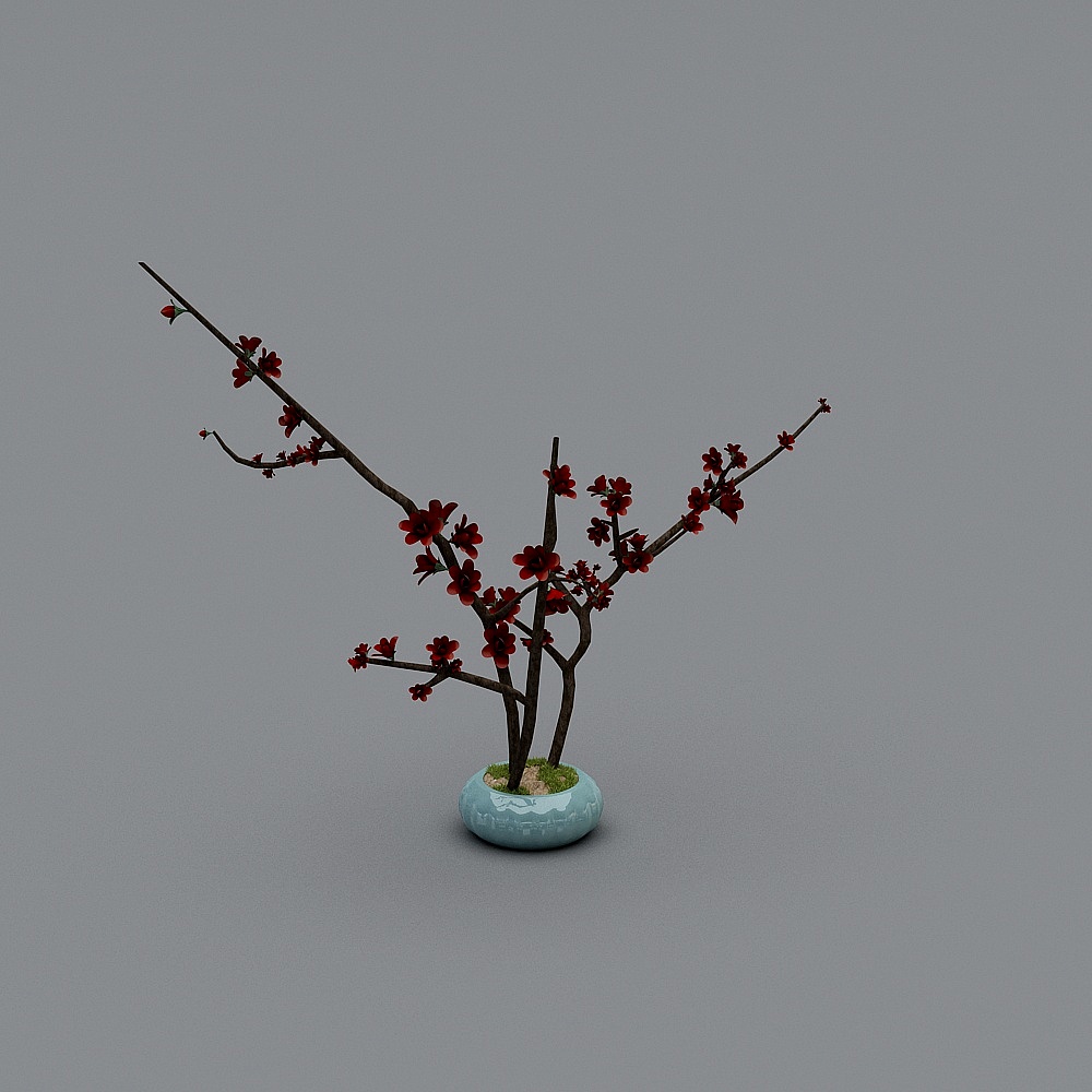 Bình Trung Quốc - Bình miệng nông