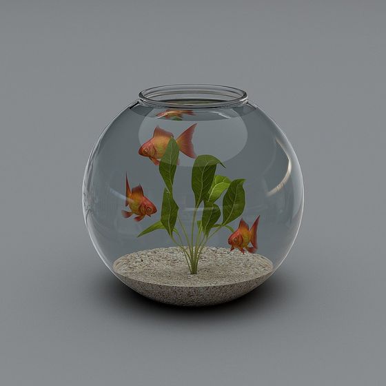 Aquarium 3D model with Realistic Fish