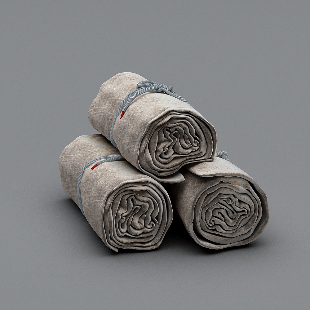 Folded Sheet 3D Model