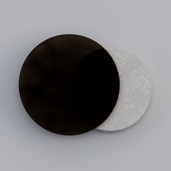 Elegant Black and Silver Metallic Discs 3D model