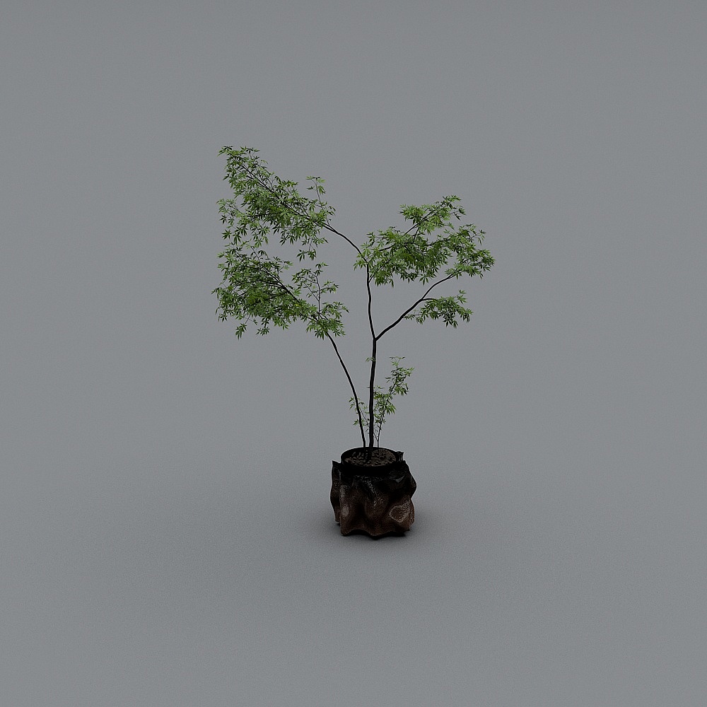 Forest Spirit Low-Polygon 3D Model for Creative Projects