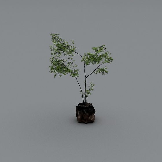 Forest Spirit Low-Polygon 3D Model for Creative Projects