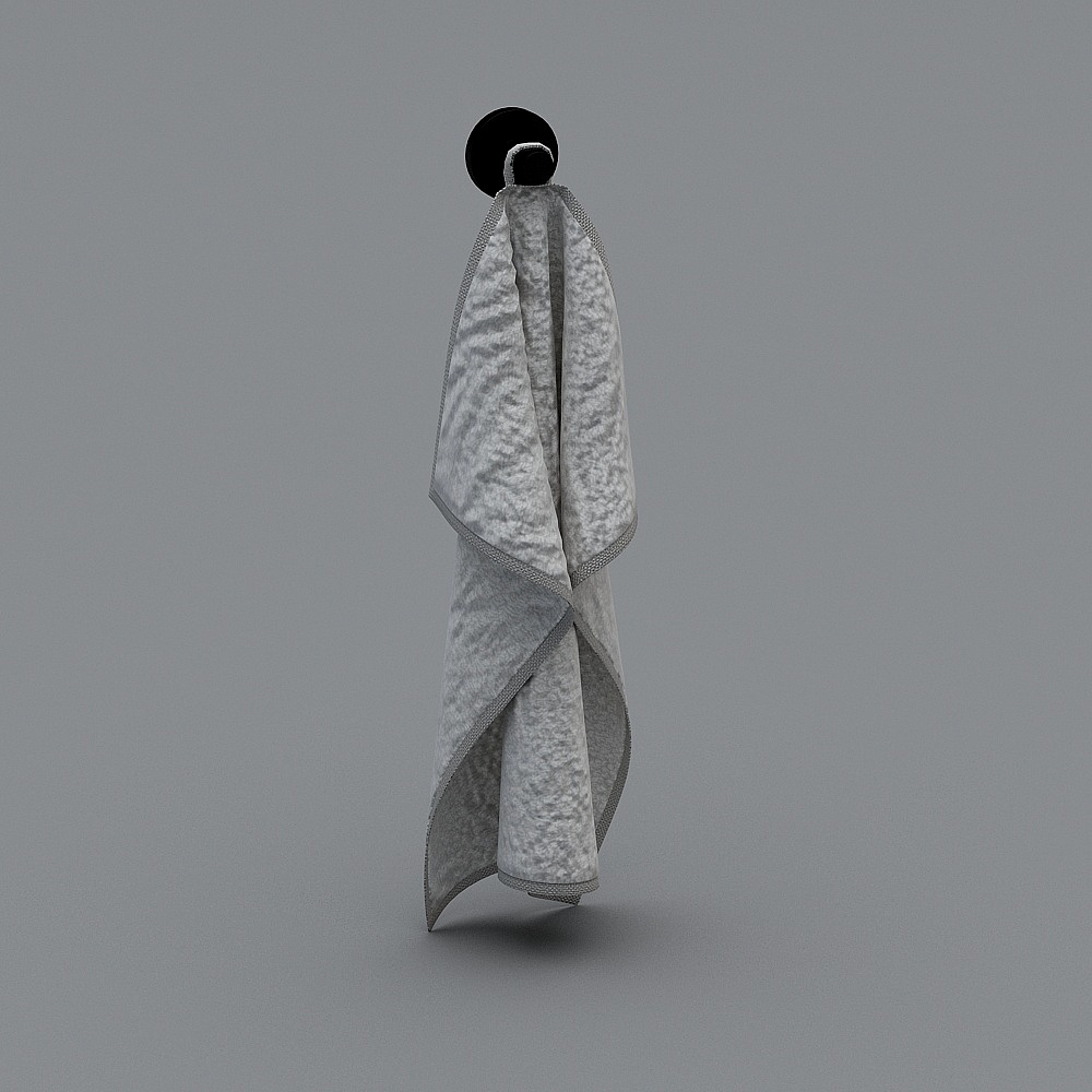 Modern toilet-1-towel rack