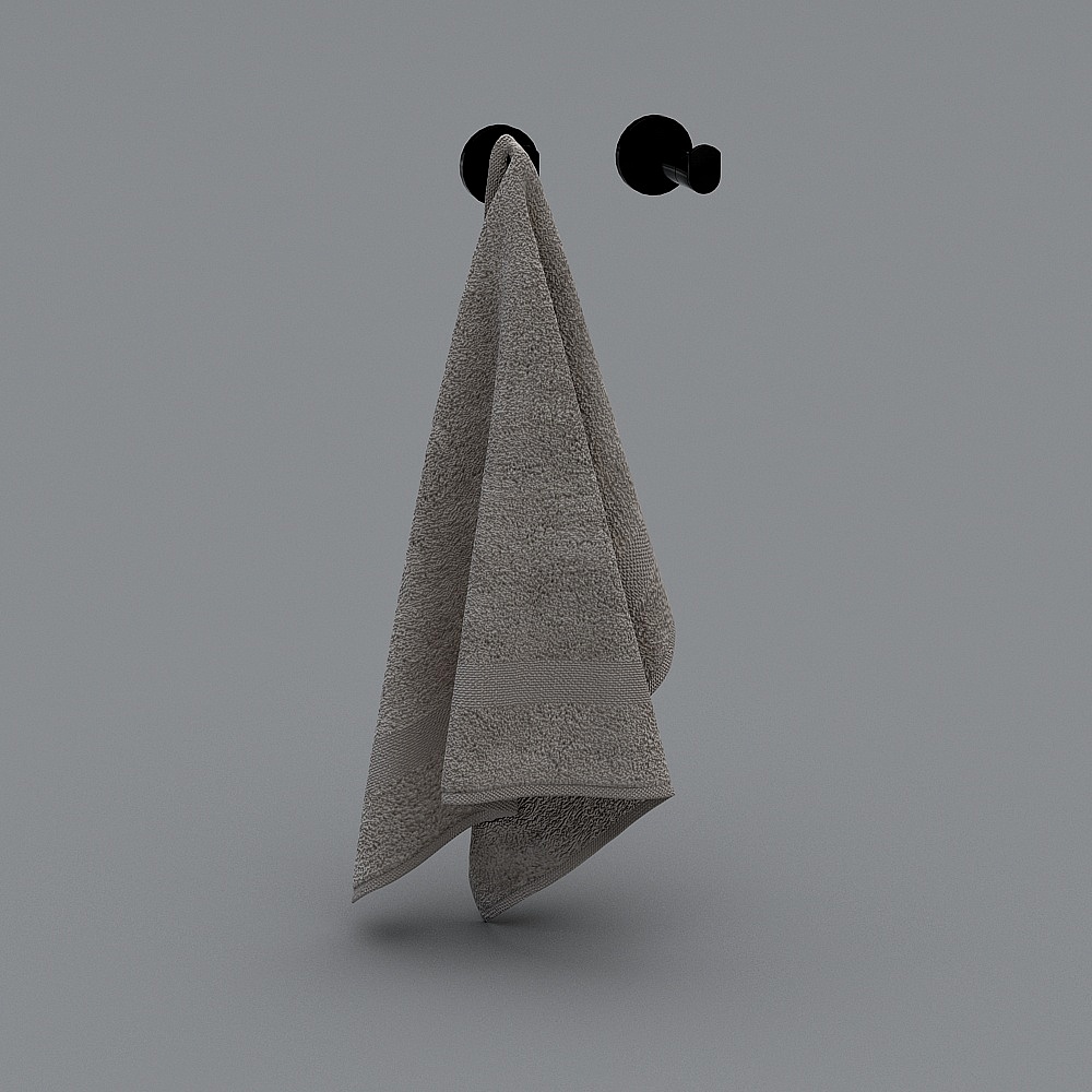 Modern toilet panoramic view - towels