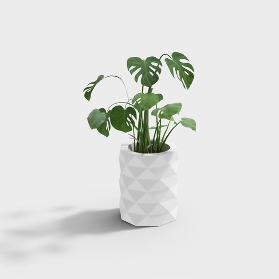 Monstera Plant in Geometric Vase 3D model for Modern Spaces