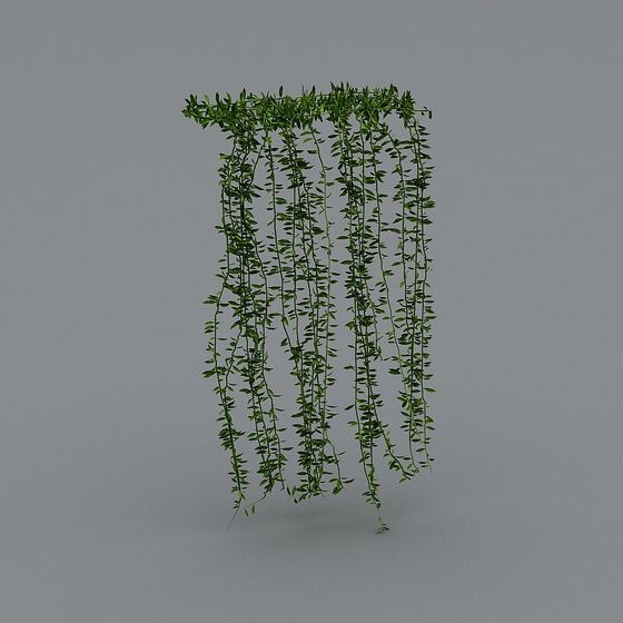 Hanging Planter Rack 3D model