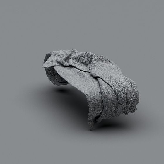Wrinkled Fabric 3D model