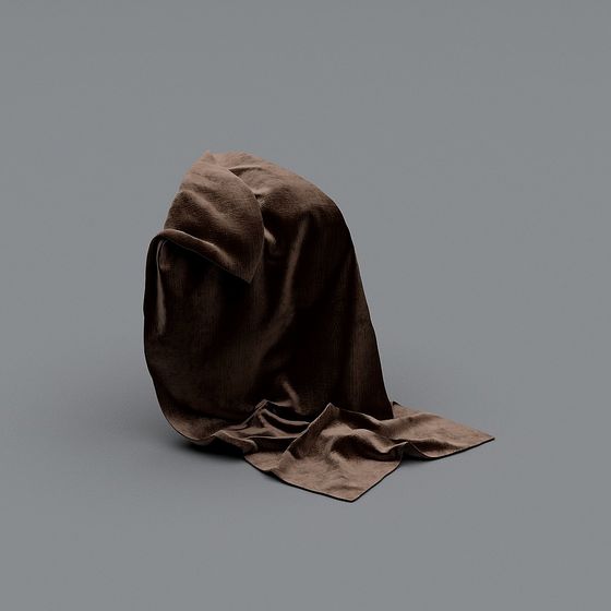 Mystery Veil 3D model