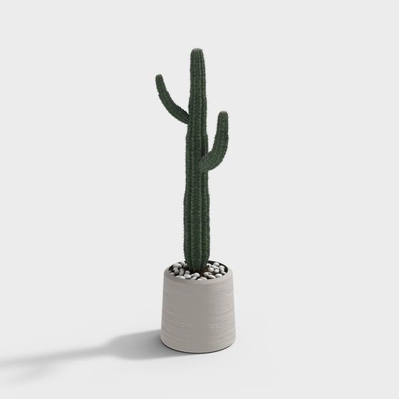 Realistic Cactus 3D model for Creative Projects