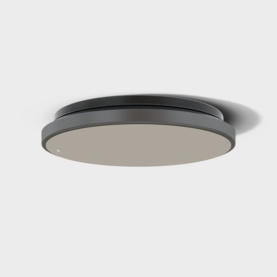 Stylish Circular Ceiling Light 3D model for Modern Spaces