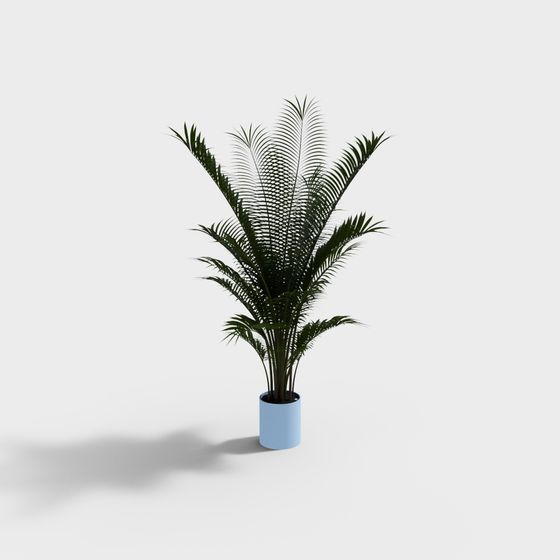 Lively Palm Tree 3D Model for Creative Projects